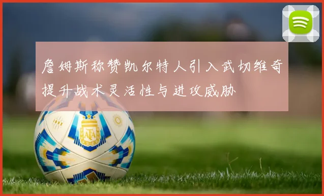 詹姆斯称赞凯尔特人引入武切维奇提升战术灵活性与进攻威胁