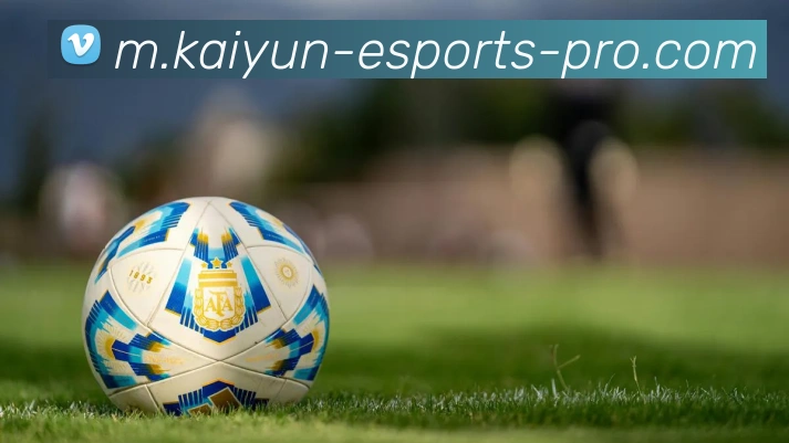 开云平台生态图